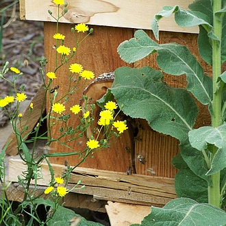 Bienenstock einfach