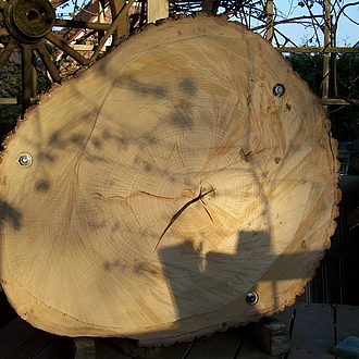 Schaubeute